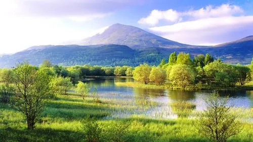 高性能信息化信息化